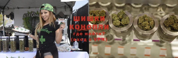 ГАЛЛЮЦИНОГЕННЫЕ ГРИБЫ Алзамай