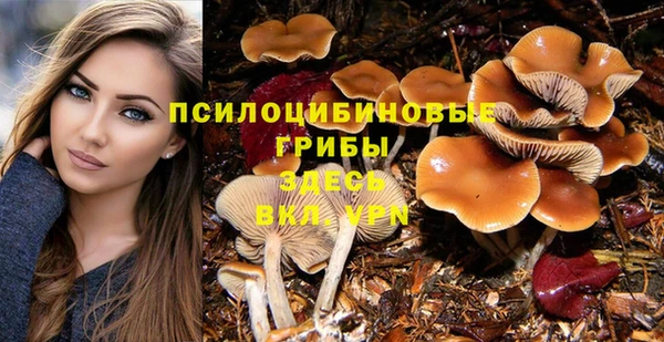 ГАЛЛЮЦИНОГЕННЫЕ ГРИБЫ Алзамай