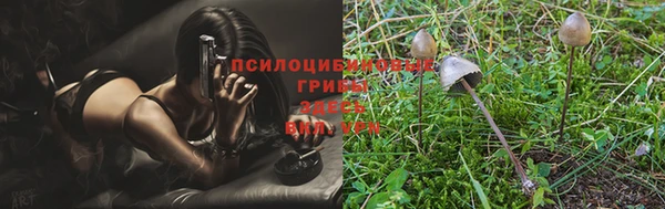 ПСИЛОЦИБИНОВЫЕ ГРИБЫ Алексин