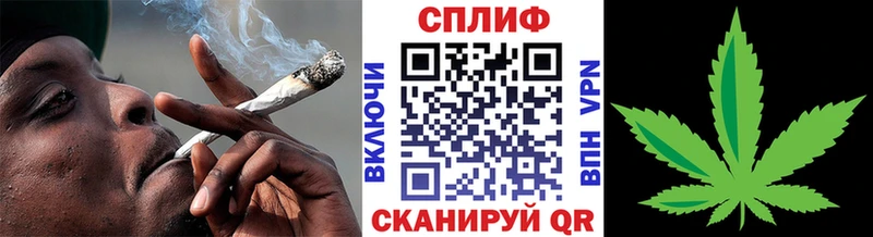 МАРИХУАНА сатива Духовщина